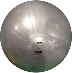 Toorx Ball Pilates 65cm in Gray Color