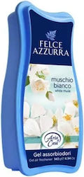 Felce Azzurra 