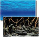 Amtra Mystic Aquarium Decoration Poster