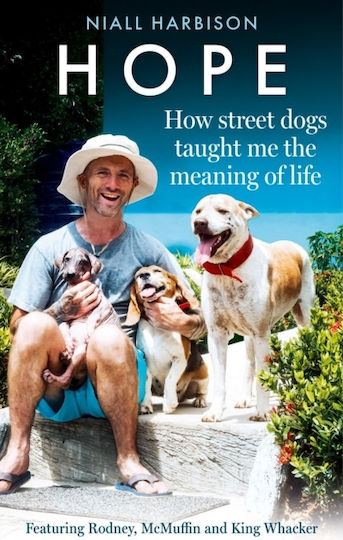 Hope – How Street Dogs Taught Me The Meaning Of Life
