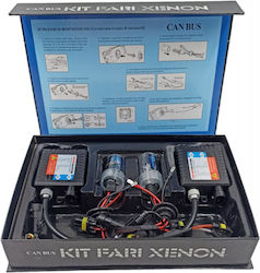 Car Xenon Kit H1 CAN Bus 55W 12V 6000K Cold White