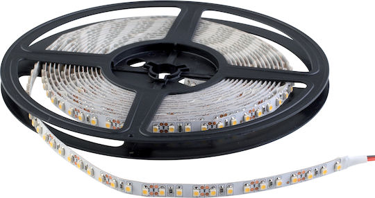 Waterproof LED Strip 24V Blue Light 5m Type SMD3528