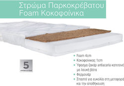 Foam Coconut Palm Park Mattress