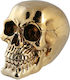 Out of the Blue Skull Копилка Керамичен Златист