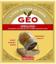 Geo Humus Vase General Use with Lid & Base Glass White