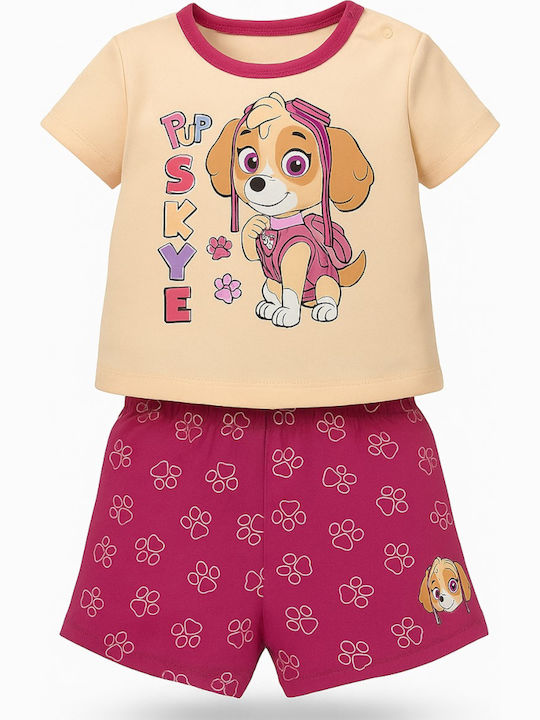 Paw Patrol