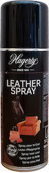 Hagerty Graffiti Remover Spray