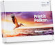 Pelikan B C M Y Kompatibel Toner für Laserdrucker Bruder LC223 Mehrfarbig