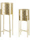 Mauro F Planter Metal Gold with Stand 22x22x53cm.