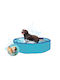 Πισίνα Glee Pet Pool Σκύλους Large Διαστάσεων 160 X 30cm
