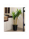 Künstlicher Baum für den Außenbereich Dracaena Grün 145cm Gardin