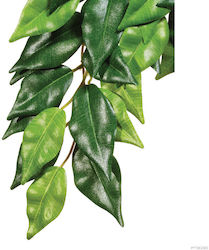 Exo Terra Ficus Small