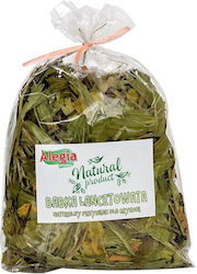 Alegia Babka Lancetowata 100g Translation Alegia Lancet-shaped Loaf 100g