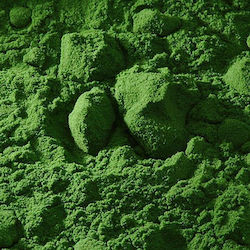 Buonarroti Hagiography Powder Painting Green Cement Green 100gr 110ml 1pcs