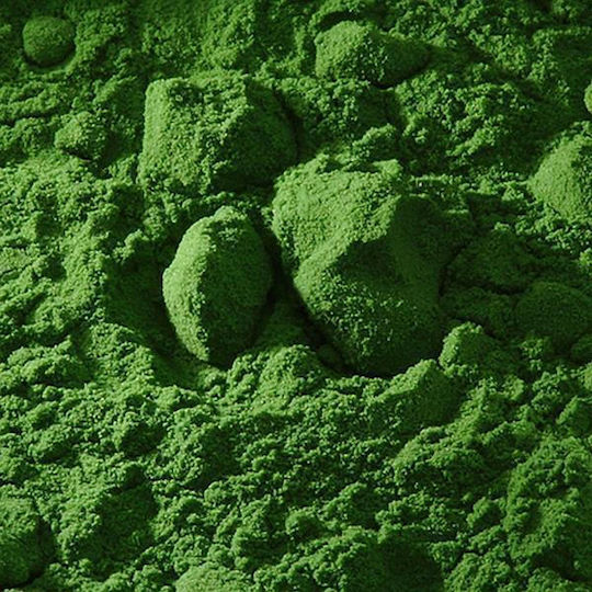 Buonarroti Hagiography Powder Painting Green Cement Green 100gr 110ml 1pcs
