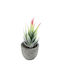 Globostar Artificial Garden Succulent Aloe 21009 Decorative Plant Succulent Aloe H14cm