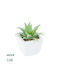 Globostar Artificial Garden Succulent Aloe Lotus 20976 Decorative Plant Succulent Aloe Lotus H8cm