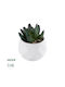 Globostar Artificial Garden Succulent Crassula 20979 Decorative Plant Succulent Crassula H9cm