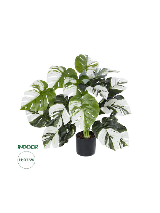 Globostar? Grădină artificială Monstera Albino 20925 Plantă decorativă Monstera albă H75cm