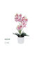 Globostar Artificial Garden Pink Orchid 21077 Decorative Plant Pink Orchid H45cm
