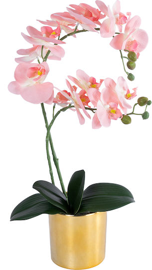 Globostar Artificial Garden Salmon Pink Orchid 21129 Decorative Plant Fuchsia Orchid H43cm