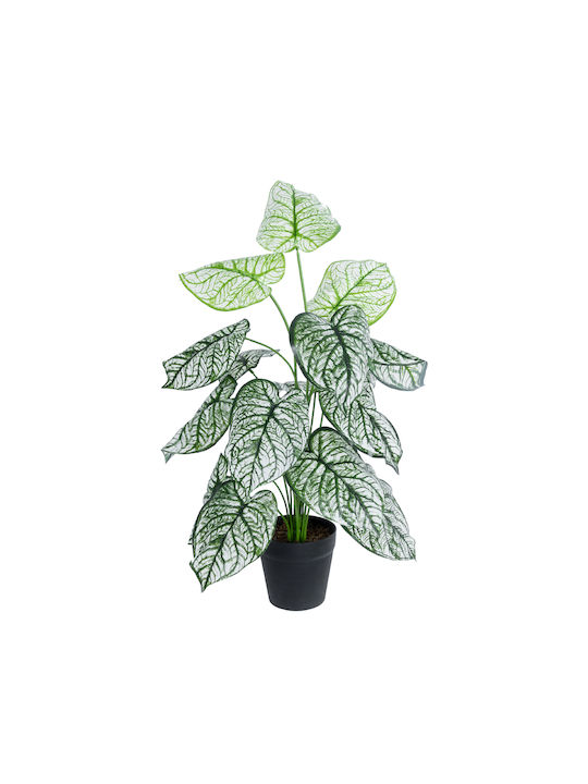 Globostar? Artificial Garden Caladium 20908 Διακοσμητικό Φυτό Καλάδια Υ75cm