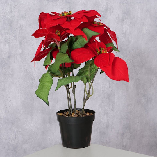 Alexandrian Red Plant Indoor H40cm D30cm Iron Plastic Polyester