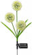 Set 2 Eingesteckte Solarleuchten Blumen