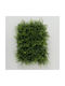 Grass Hilde L60cm W40cm H12cm Grass Plastic Green Plastic Green