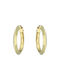 Earrings Hoops made of Gold 14K