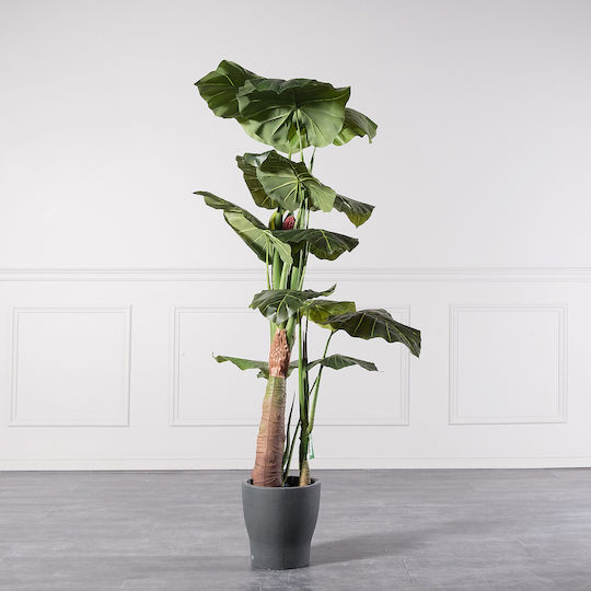 Arbore Artificial de Exterior Alocasia Green 170cm Supergreens