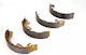 Set Placute de Frana Ford Focus Sedan Dfw Brembo S24531