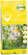 Van Cat Super Premium Katzenstreu Grobkörnig 15kg