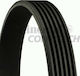 Transmission Belt Ford Escort V Gal Contitech 6pk1530