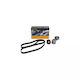 Set Transmission Belt Renault Vel Satis Bj0 Contitech 6pk1795k1