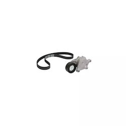 Set Transmission Belt Citroen Berlingo Mf Contitech 6pk1705k2 Set Transmission Belt Citroen Berlingo Mf Contitech 6pk1705k2