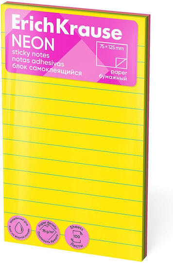 Erichkrause Sticky Notes Linii 125x75mm 100 foi Culori Neon Set 61723