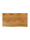 vidaXL Rectangular Table Surface made of Solid Wood Mango 100x60x2.5cm 370550 1pcs