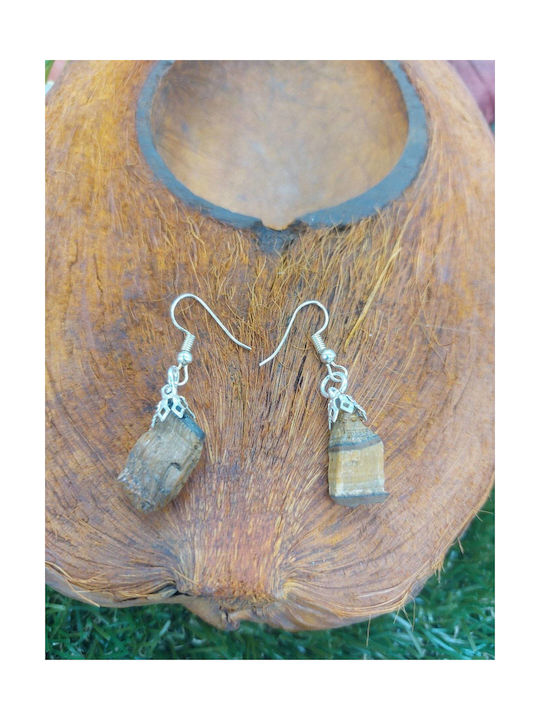 Raw Tiger Eye Earrings