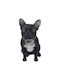 Γαλλικό Μπουλντόγκ French Bulldog Σκυλάκι Ασπρόμαυρο Καθιστό Ρητίνη 10 X 14 X 16 Cm