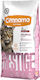 Cennamo Prestige Katze sterilisiert Lachs 1,5 kg