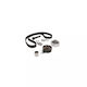 Vw Crafter 30-50 2e Body Distribution Kit Dayco Ktb494