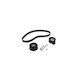 Nissan Primastar Bus X83 Dayco Ktb309 Distribution Kit