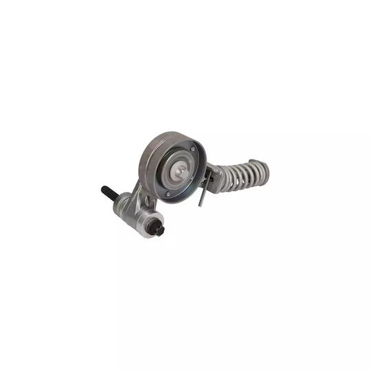 Opel Meriva B Riementensioner Dayco Apv2247