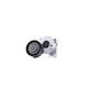 Belt Tensioner Mercedes-benz Viano W639 Dayco Apv2982