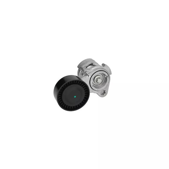 Riemenspanner Bmw X5 E70 Dayco Apv2529