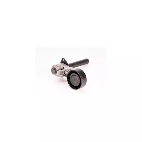Belt Tensioner Bmw X6 E71 E72 Dayco Apv3032