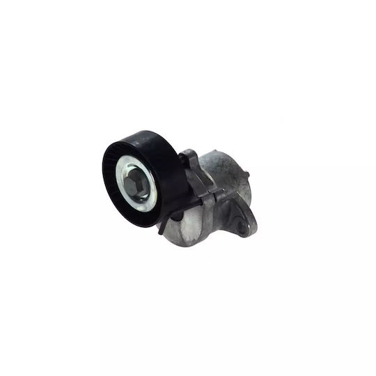 Opel Zafira Tourer C P12 Dayco Belt Tensioner