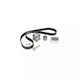 Timing Belt Kit Dodge Caliber Dayco Ktb441