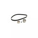 Kit distribuție Mazda Premacy CP Dayco KTB379